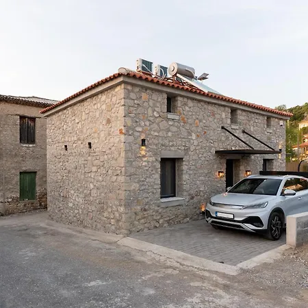 Olea Stone